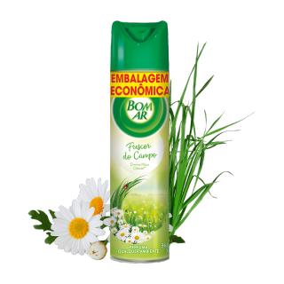 resumo-introducao-aerossol-flor-do-campo-com-elementos.png