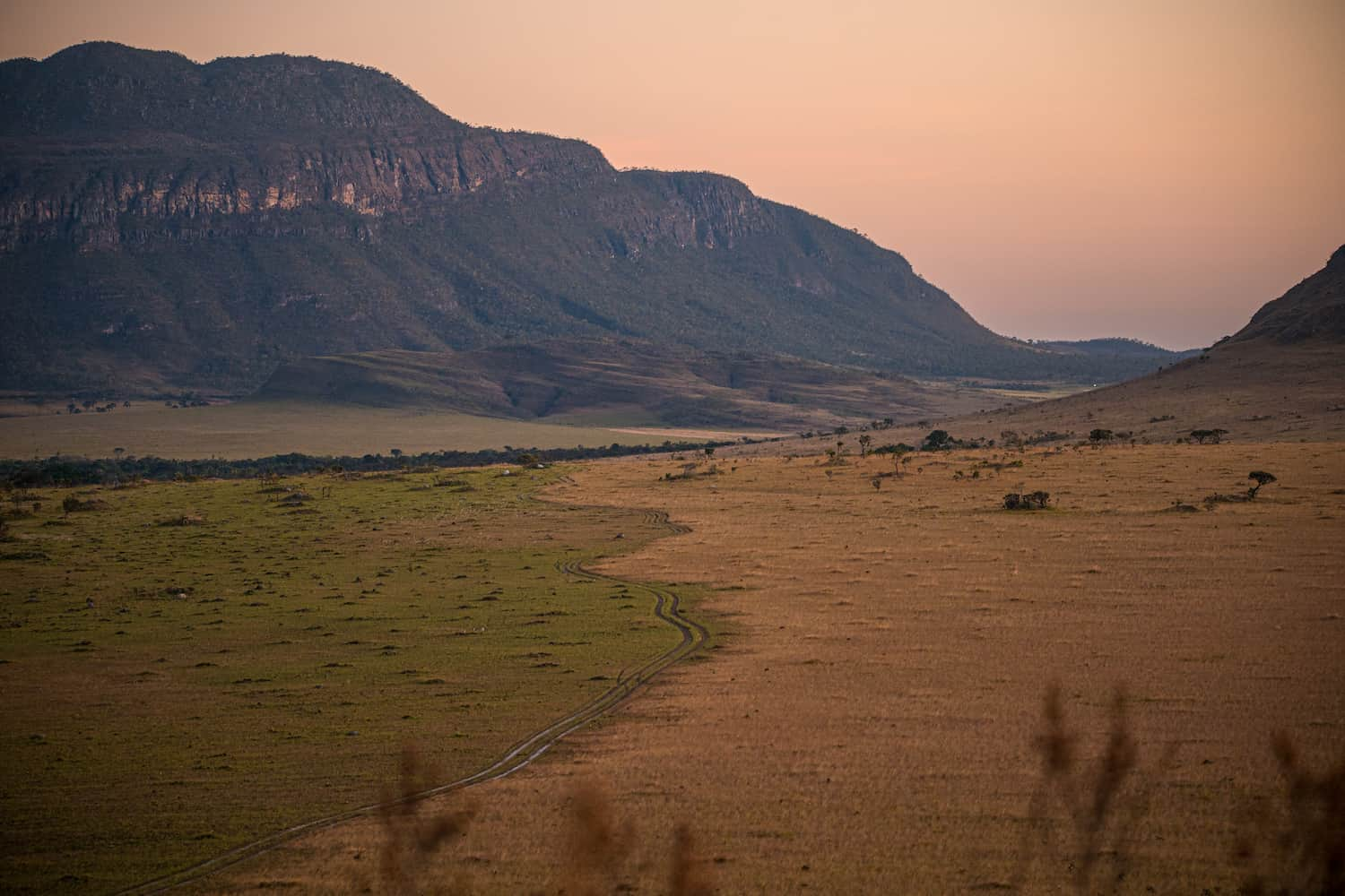 Paisagem montanhosa permeada por um terreno vasto e coberto por gramíneas, retrato do cerrado brasileiro.