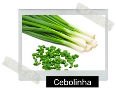 Cebolinha