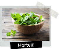 Hortelá